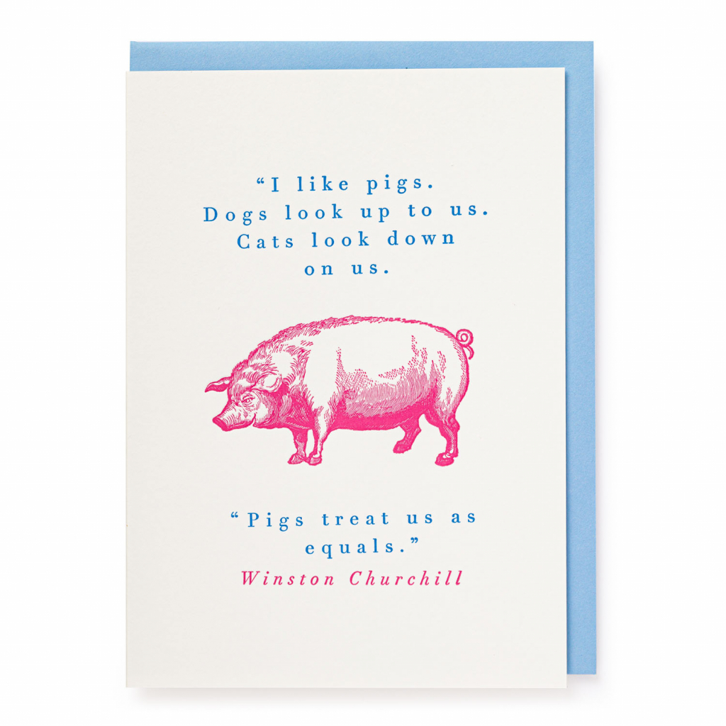 I Like Pigs